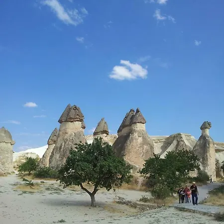 Bayer Stone House Отель типа 