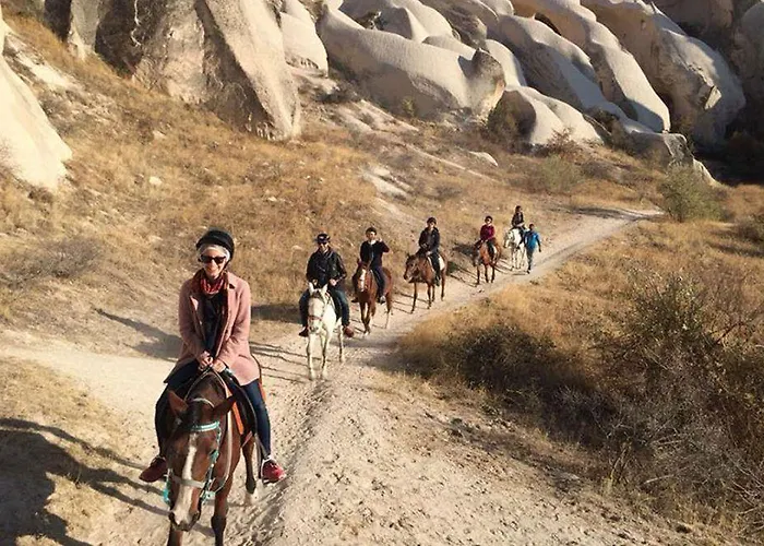 Bayer Stone House Bed & Breakfast 3*