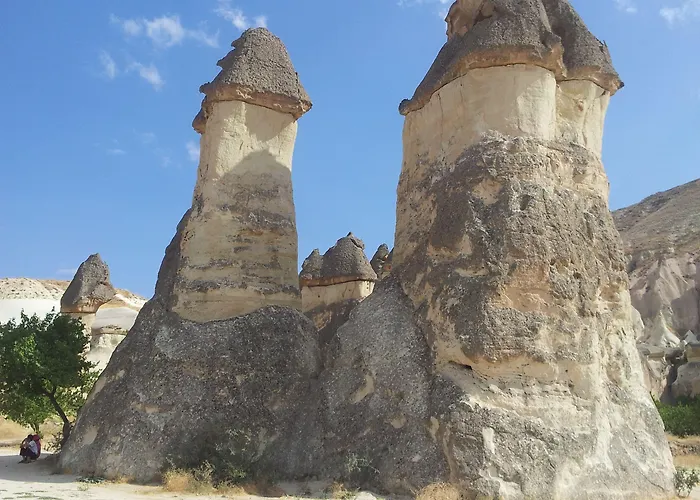 Bayer Stone House Bed & Breakfast