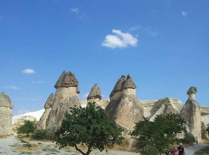 Bayer Stone House Bed & Breakfast 3*